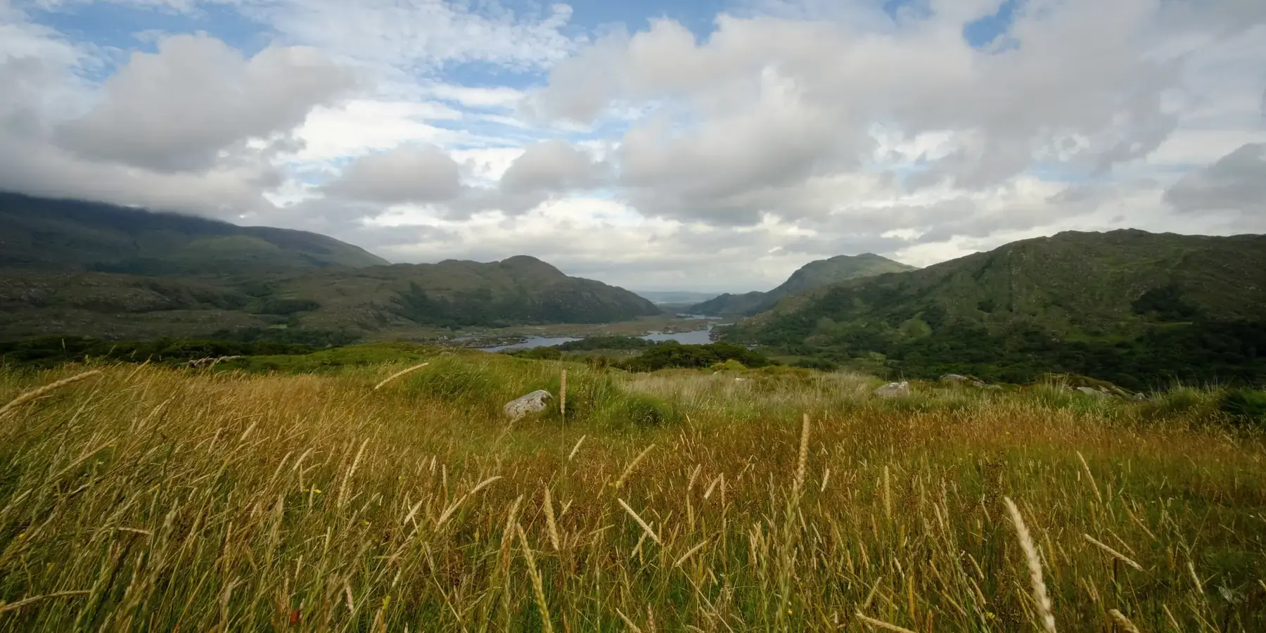 Ladies View: i laghi di Killarney visti dall'alto lungo il Ring of Kerry